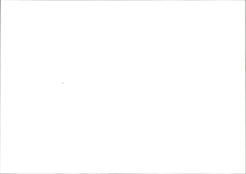 Thamnobryum angustifolium - Vintage Photograph