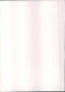 Peugeot - Vintage Photograph