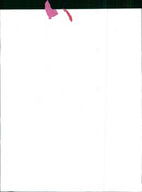 Varius people, cars mixed images - Vintage Photograph