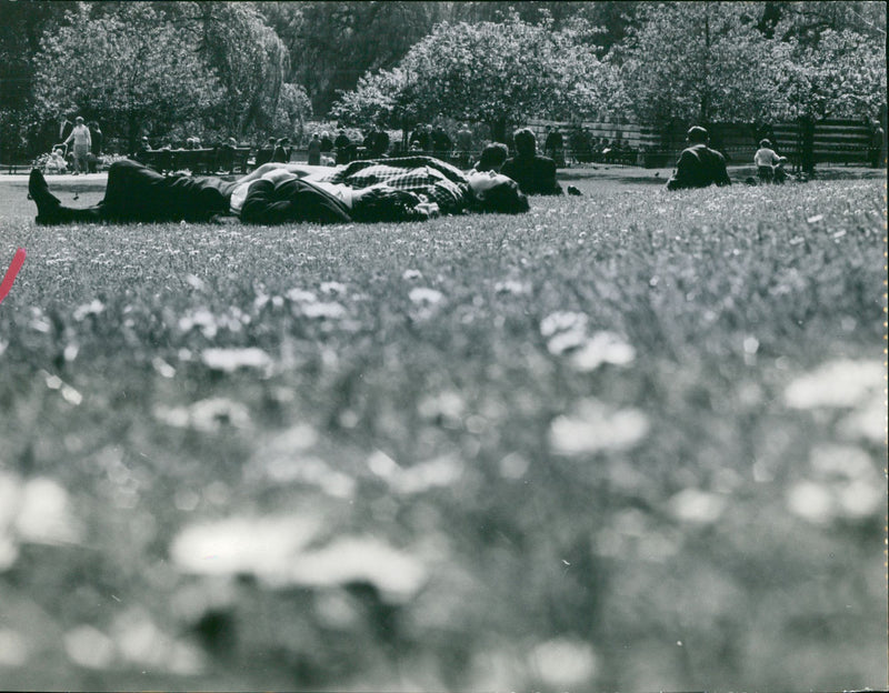 Varius people, cars mixed images - Vintage Photograph