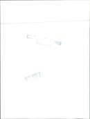 Volkswagen. - Vintage Photograph