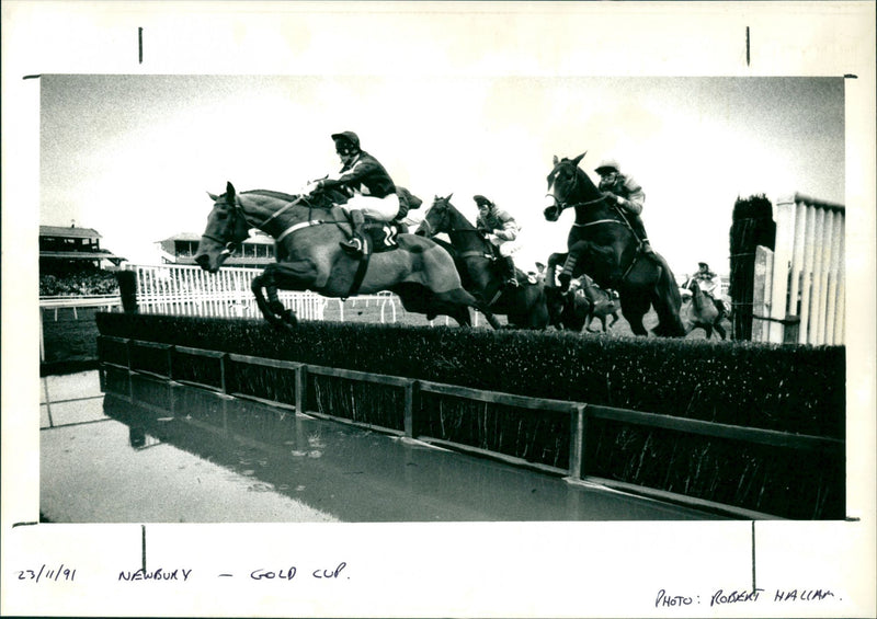 Newbury- Gold Cup - Vintage Photograph