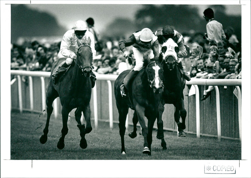 Horse racing - Vintage Photograph