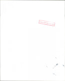 Blur - Vintage Photograph