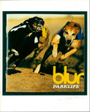 Blur - Vintage Photograph