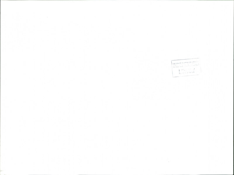 Rogue Barley - Vintage Photograph