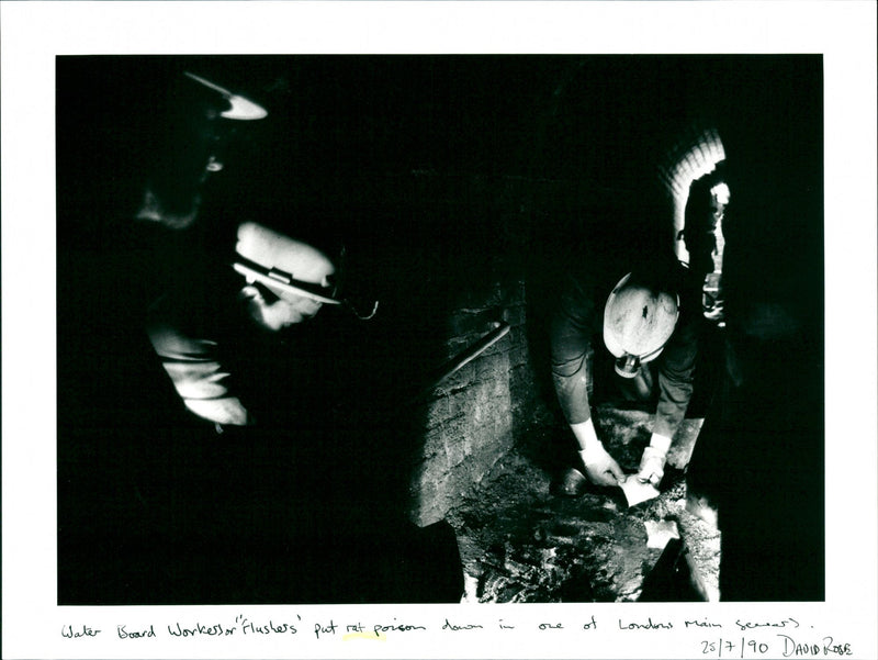 RAT - BY DAVID ROSE, WATER, BOARD - Vintage Photograph