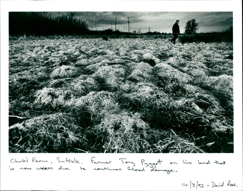 is farm , Suffolk , farmer Tony his landt sggol webers due continual blood 1413 - Vintage Photograph