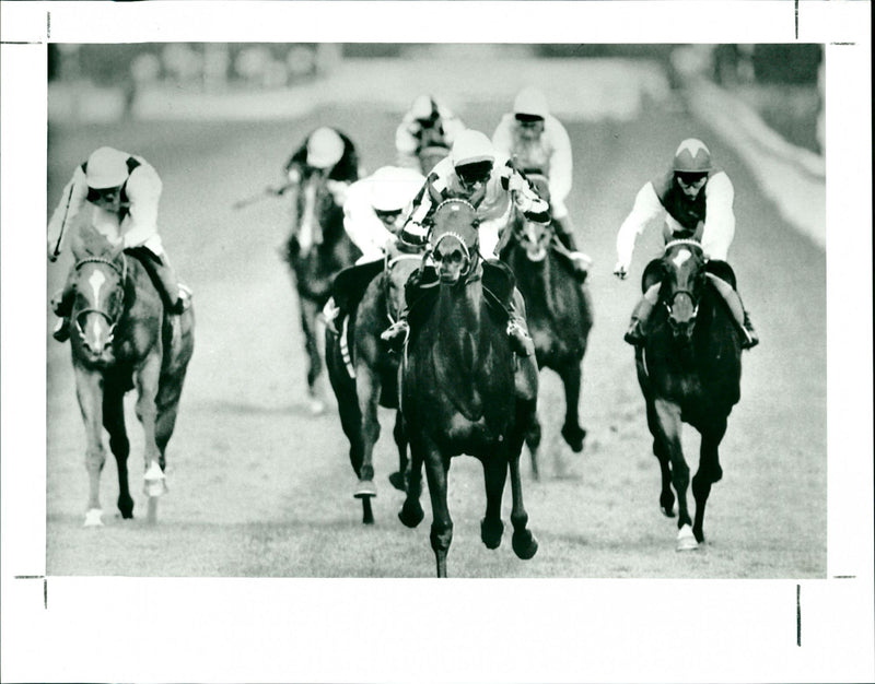 Horse racing - Vintage Photograph