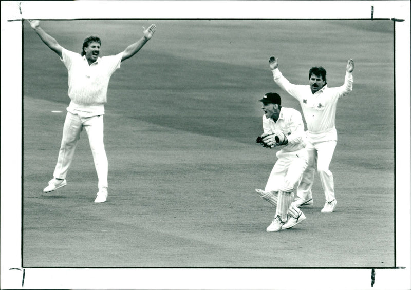 Cricket - Vintage Photograph