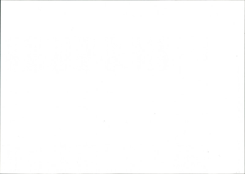 Jurassic Park - Vintage Photograph