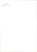 Cattle - Vintage Photograph