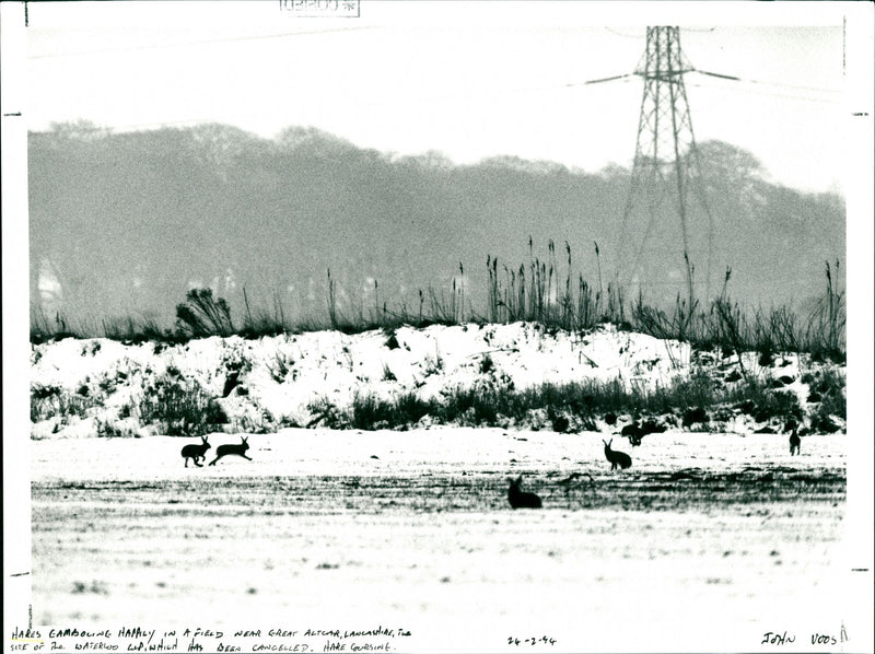 HATALY A preud wame GREAT ALTEAR LANCASHI , ine to with which HAS BEEN CANCELLED - Vintage Photograph