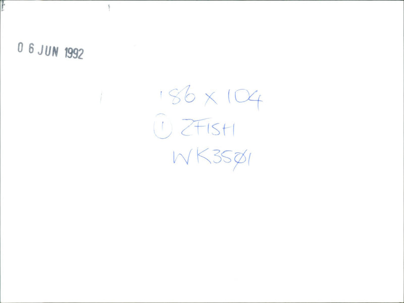 Yamaha GP Supercar OX99-11 - Vintage Photograph