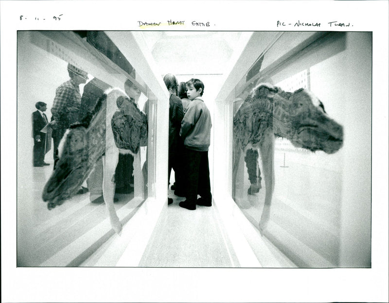 Damien Hirst. - Vintage Photograph