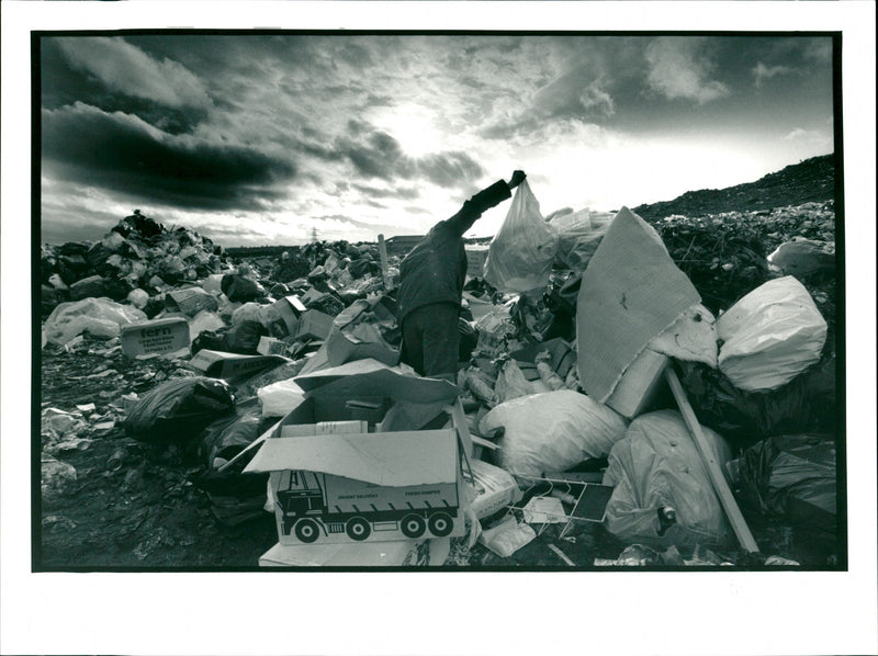 BIRKINHRAD TIP - ORDERED PICTURE JAMES MILNE, WAY, CARS - Vintage Photograph