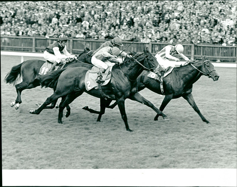 REL - ALS THITHANSONST BY ED BYRNE, LONDON, DE - Vintage Photograph