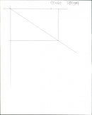 Merlin - Vintage Photograph