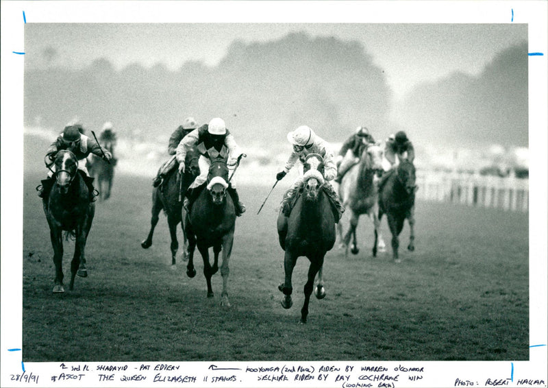 The Queen Elizabeth II Stakes - Vintage Photograph