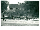 Plane Crash - Vintage Photograph