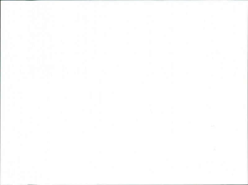 Bruce Springsteen - Vintage Photograph