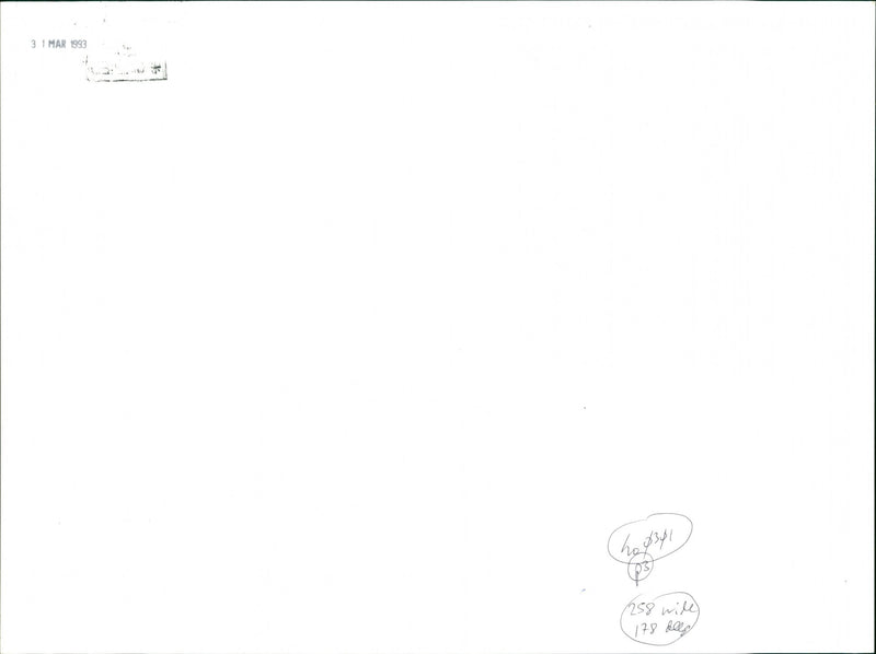 RAF - Vintage Photograph