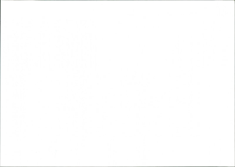 Monkeys - Vintage Photograph