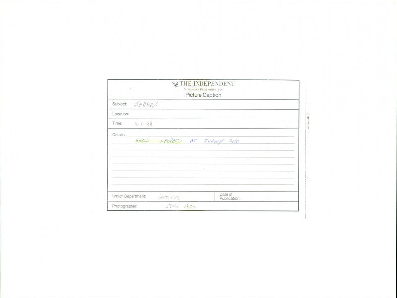 Snow Leopard - Vintage Photograph