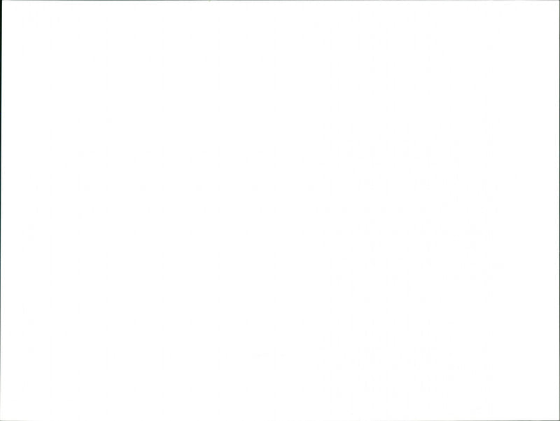 Hanningfield Reservoir - Vintage Photograph