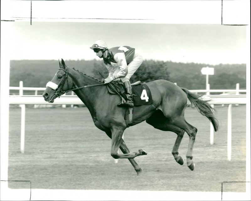 Kooyonga - Vintage Photograph