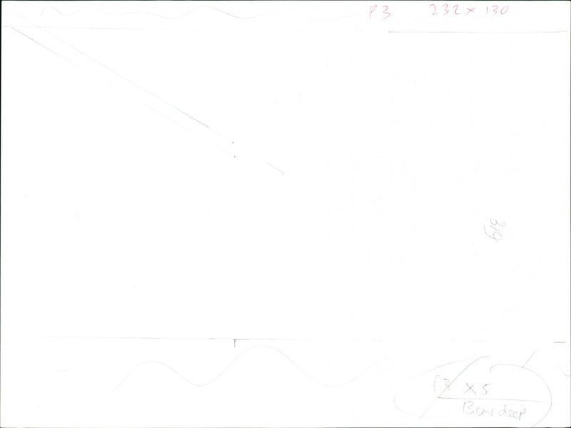 Hens - Vintage Photograph