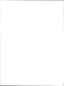 Tiger Moth - Vintage Photograph