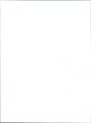 Tiger Moth - Vintage Photograph