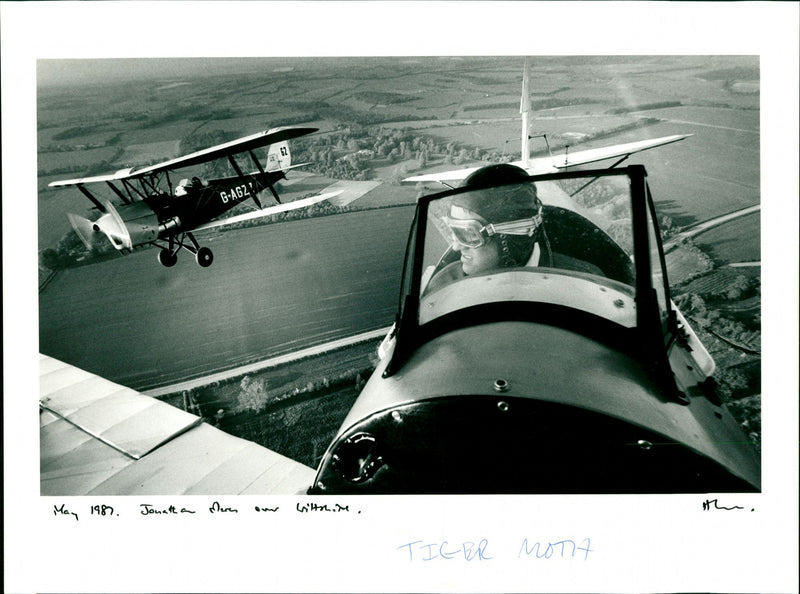 Tiger Moth - Vintage Photograph