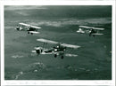 Tiger Moth - Vintage Photograph