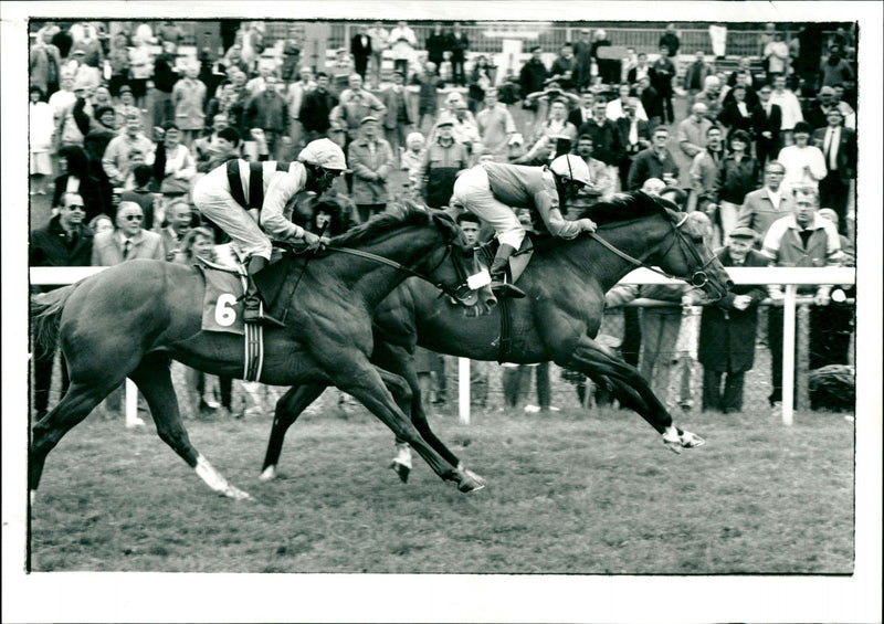 LOB HOW TO HOCH - MODEL BRAASHEE RABETS, CUP - Vintage Photograph