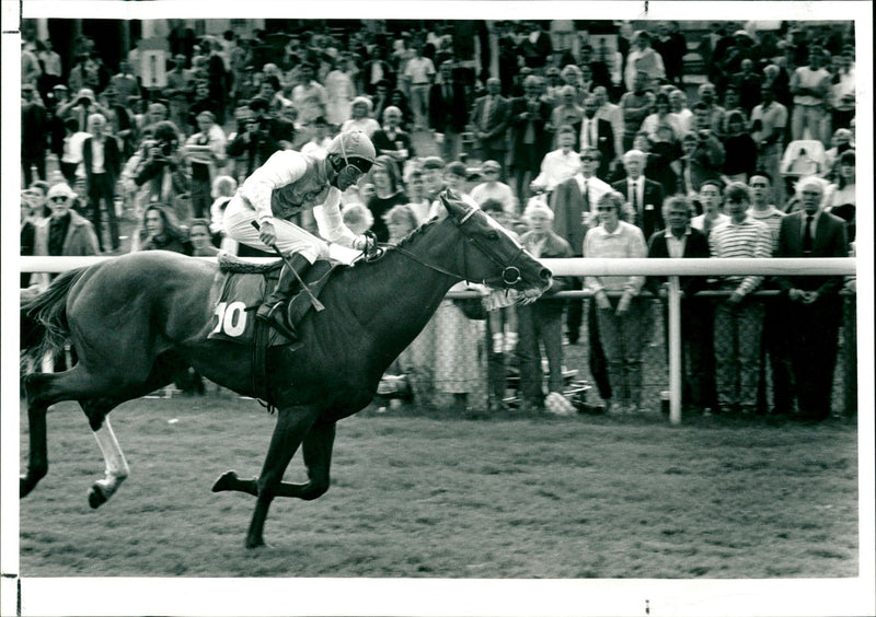Pat Eddery - Vintage Photograph