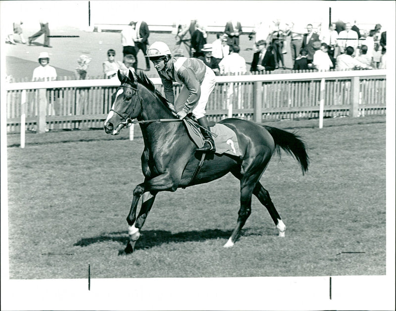 Theatrical Charmer (Pat Eddery) - Vintage Photograph