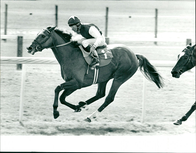 Anshan (Pat Teddery) - Vintage Photograph