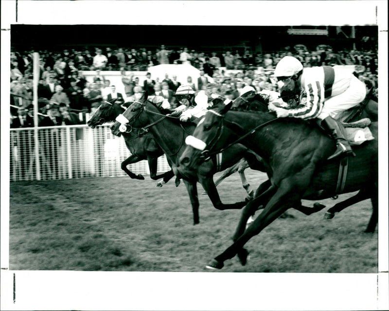 Horse racing, Friday, 8th June '90 - Vintage Photograph