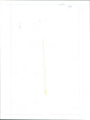 Chernobyl Leaves - Vintage Photograph