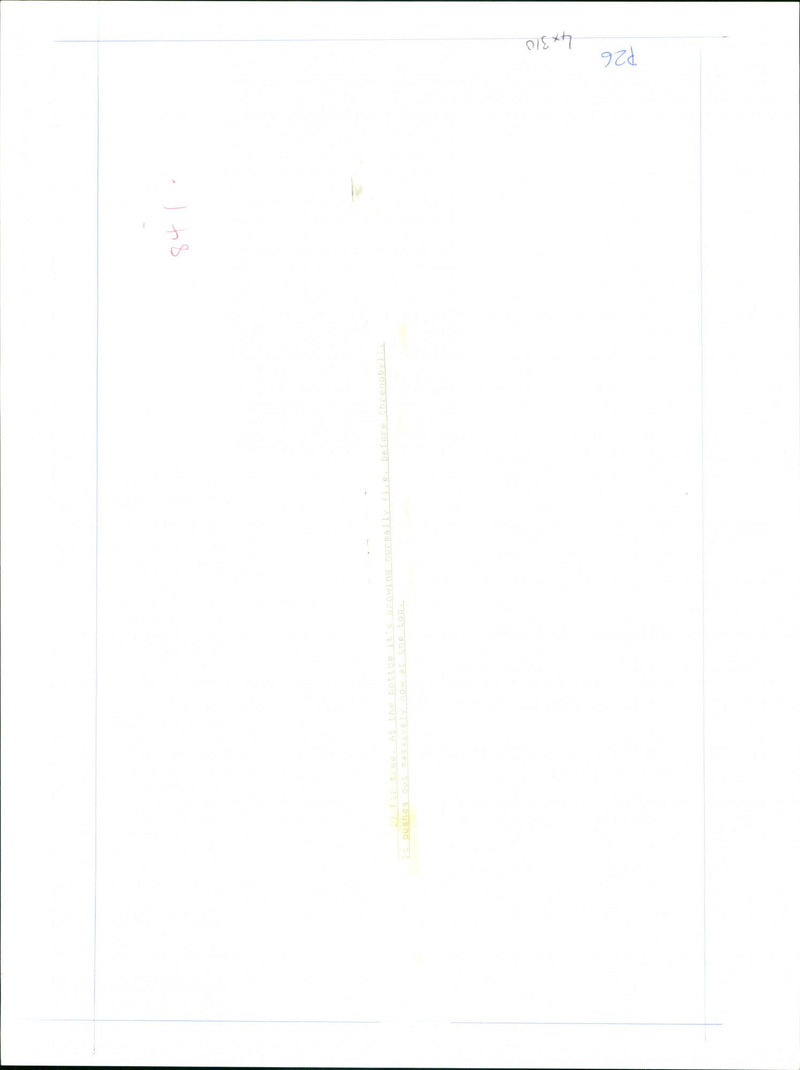 Chernobyl Leaves - Vintage Photograph