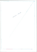 Foal and Mare - Vintage Photograph