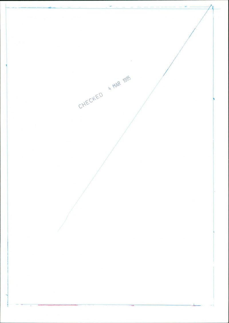 Foal and Mare - Vintage Photograph