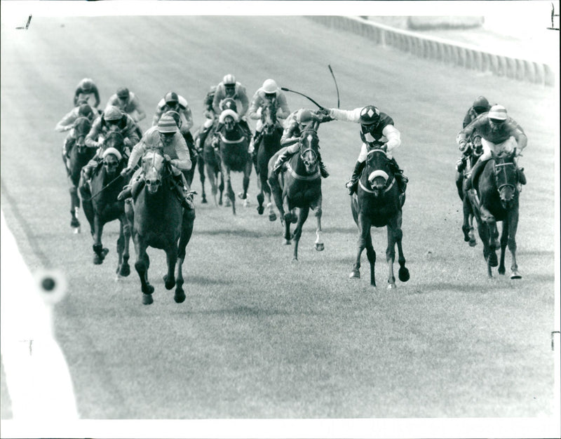 The IAWS Irish 1000 Burneas Curragh - Vintage Photograph