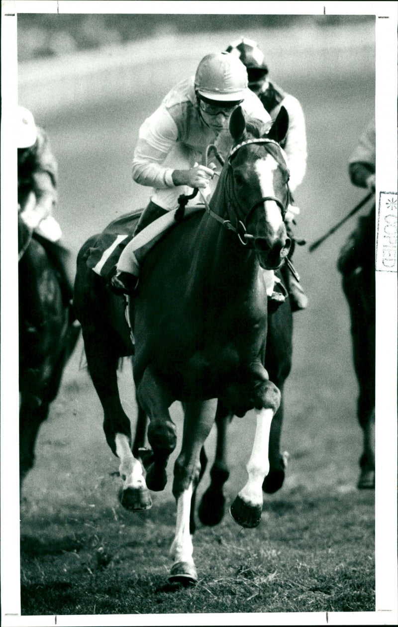 Horse Racing - Vintage Photograph