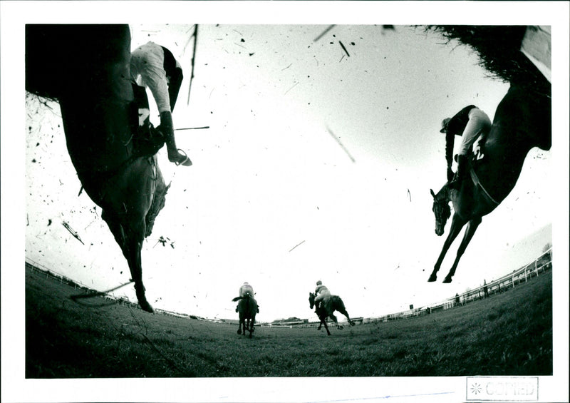 Horse Racing - Vintage Photograph