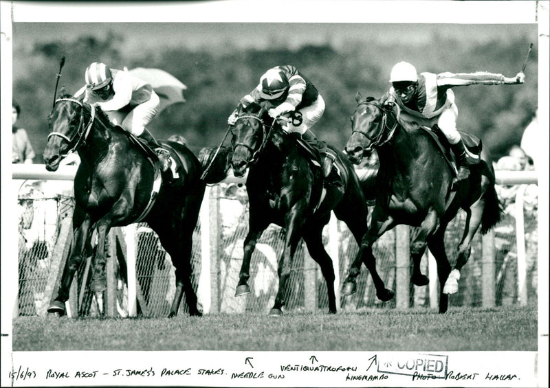 Royal Ascot - Vintage Photograph