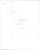 Brown Rat - Vintage Photograph