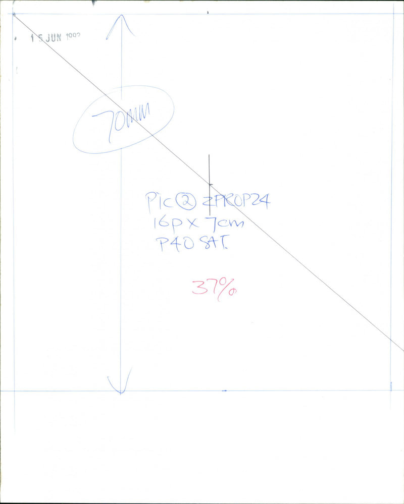 Brown Rat - Vintage Photograph